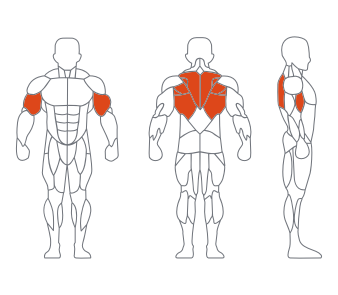 LD1033低拉背训练器 副本.png LD1033低拉背训练器 副本.png