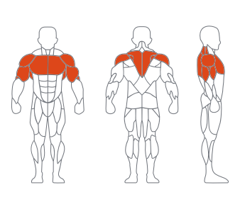 LS-019多功能推举 LS-019多功能推举