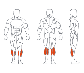 GL7060坐式小腿训练器 GL7060坐式小腿训练器